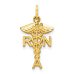 10k Solid Registered Nurse RN Charm