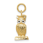 14K Enameled Graduation Owl Charm