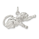Sterling Silver Polished Tiger Charm