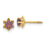 14k Madi K CZ Birthstone (Feb) Screwback Earrings