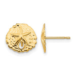 14k Madi K Sand Dollar Childrens Post Earrings