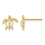 14k Madi K Sea Turtle Post Earrings