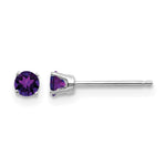 14k White Gold Round February/Amethyst Stud Earrings