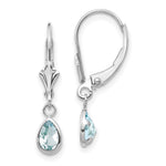 14k White Gold 6x Aquamarine/March Earrings