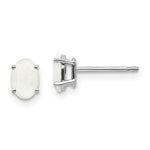 14k White Gold 6x Opal Earrings