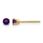 14k Round February/Amethyst Post Earrings