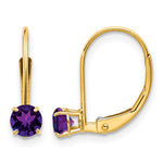 14k Round February/Amethyst Leverback Earrings