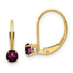 14k Round June/Rhodolite Leverback Earrings