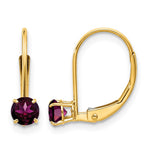 14k Round June/Rhodolite Garnet Leverback Earrings