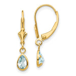 14k 6x March/Aquamarine Earrings