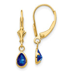 14k 6x September/Sapphire Earrings