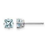 14k White Gold Princess Aquamarine Post Earrings