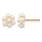 14k 2- White Egg-shape Freshwater Cultured Pearl Flower Post Earrings