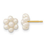 14k 2- White Button Freshwater Cultured Pearl Flower Earrings