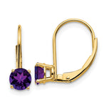 14k Amethyst Leverback Earrings