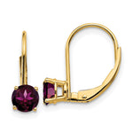 14k Rhodolite Garnet Leverback Earrings