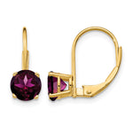 14k Round Rhodolite Garnet Leverback Earrings