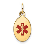 14k Polished Enamel Medical Jewelry Pendant