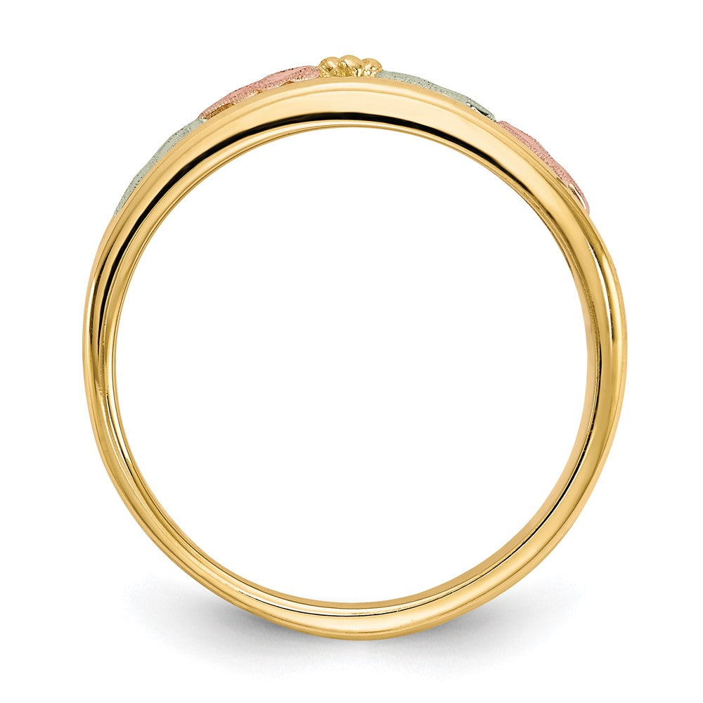 10k and 12k Tri-color Black Hills Gold Leaves Ladies Band