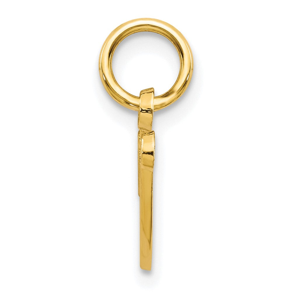10k Small Script Initial V Charm
