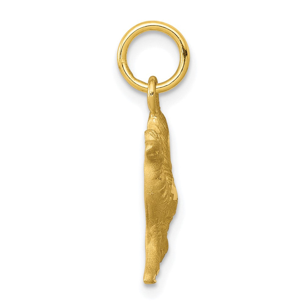 10k Satin Diamond-cut Camel Charm