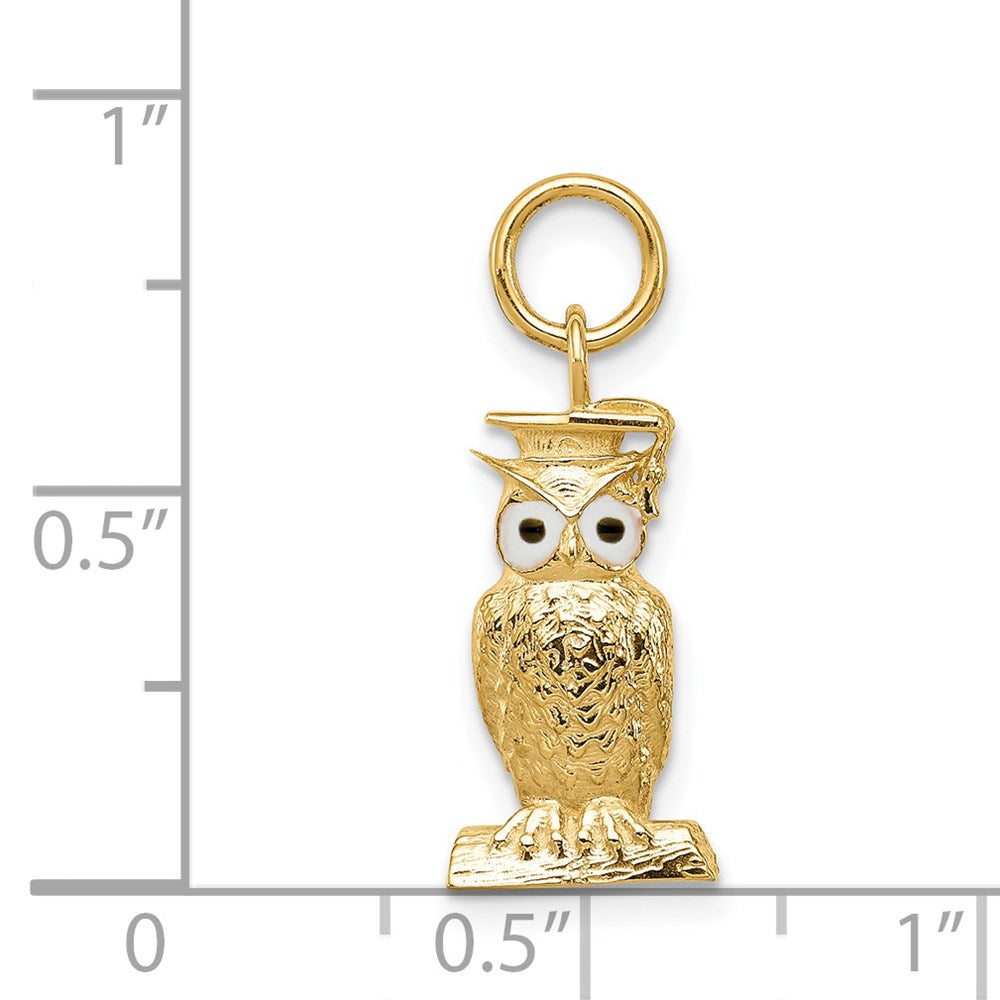14K Enameled Graduation Owl Charm