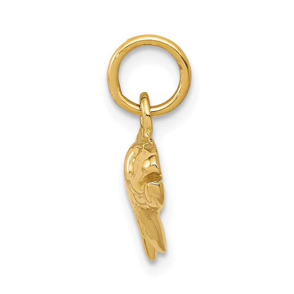 14k Grouper Fish Charm