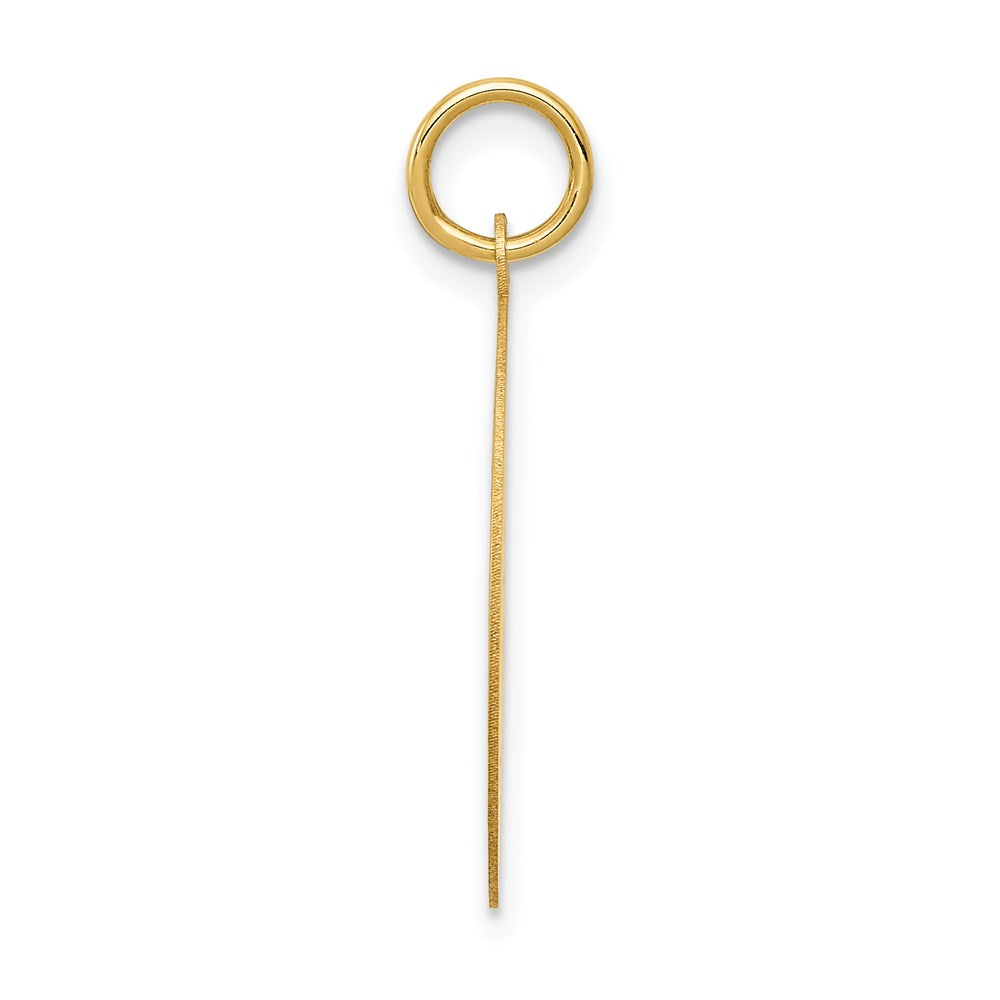 14k WRESTLING Engravable Disc Charm