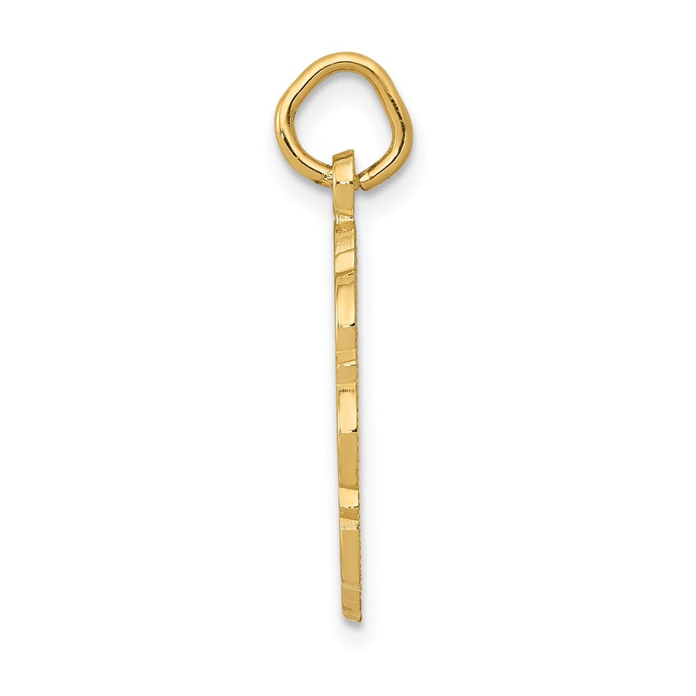 14k RN Registered Nurse Disc Charm