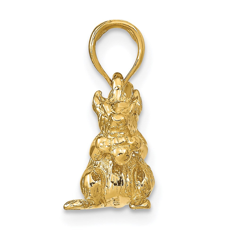 14k Solid 3-D Squirrel with Nut Charm