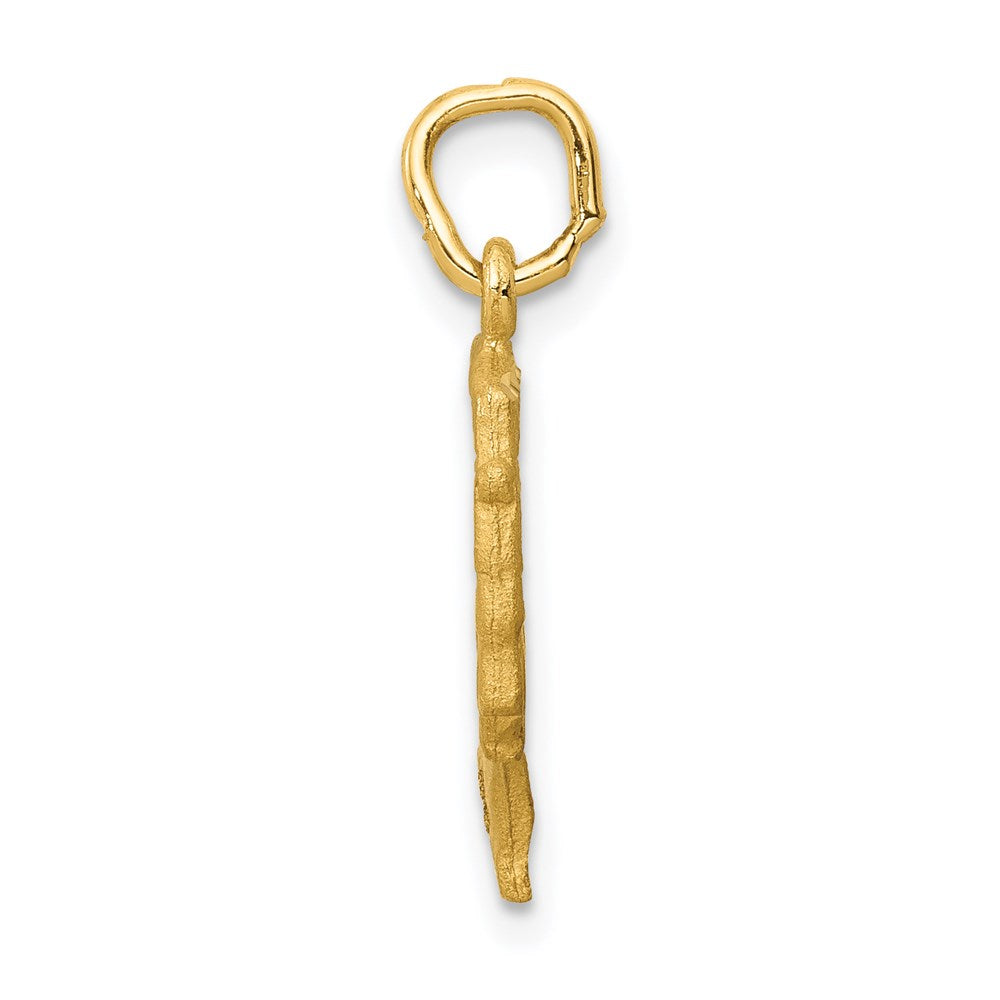 14K Satin Front / Polished Back Nefertiti Charm