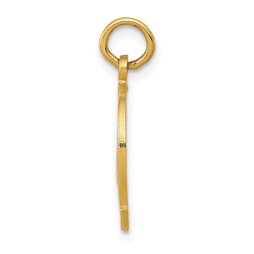 14k GOOD LUCK Horseshoe Charm