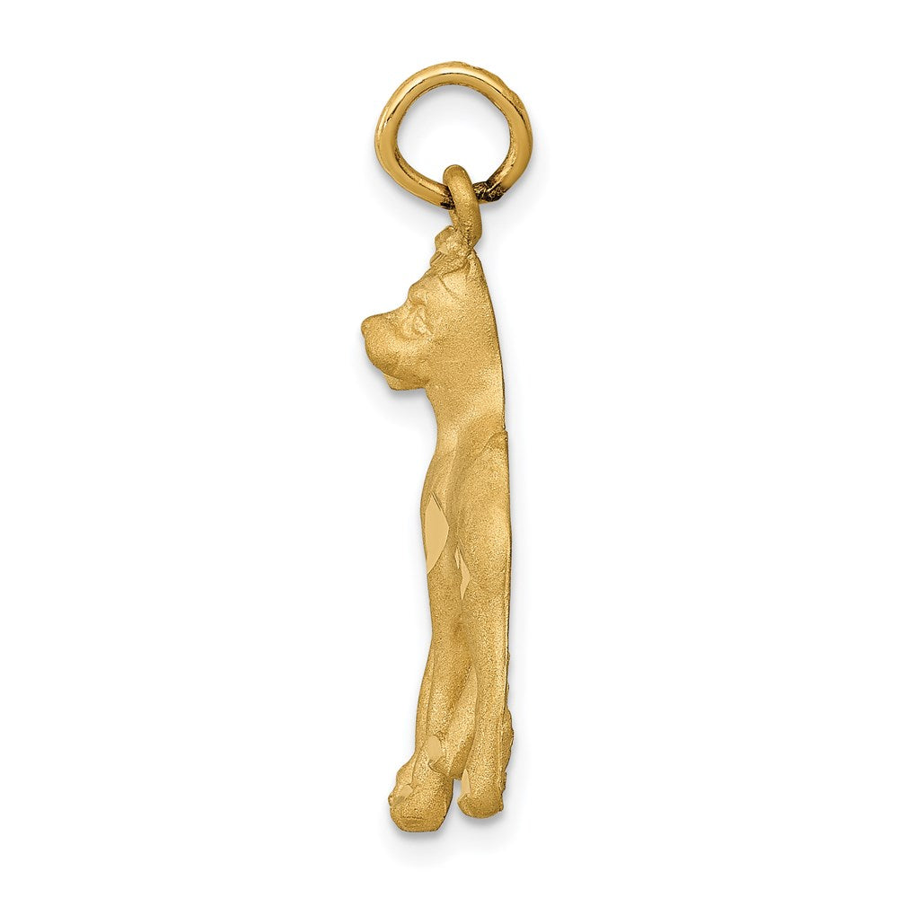 14k Yellow Gold Solid Polished Boxer Charm w/ chain