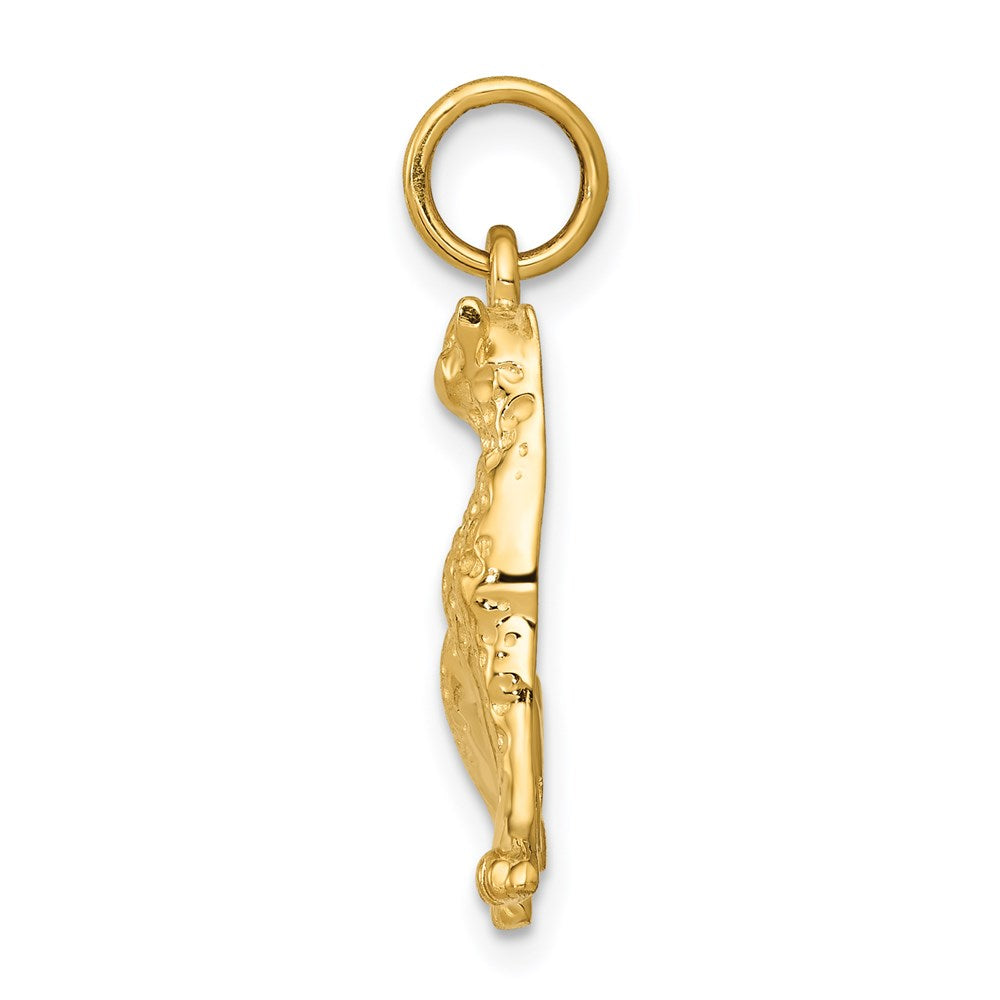 14k Cheetah Charm