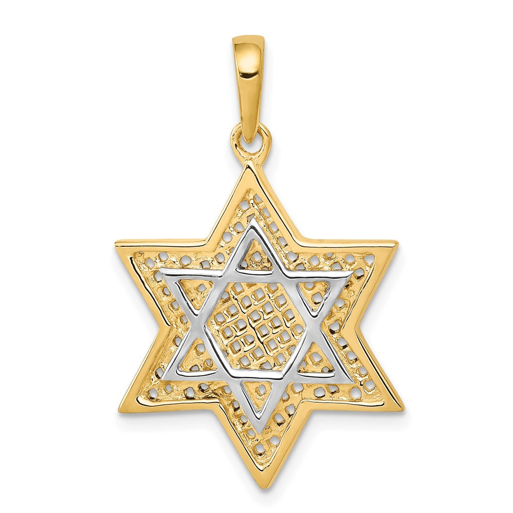 14K and White Rhodium Solid Mesh Star Of David Charm