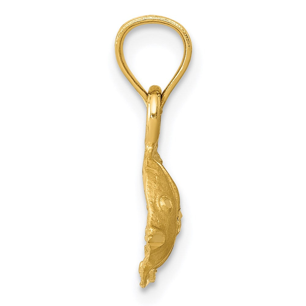 14K Bannerfish Pendant