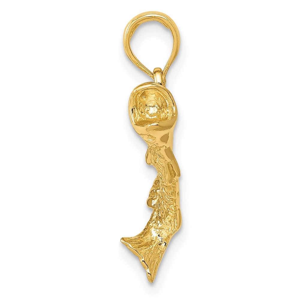 14K Gold Polished Textured Bass Fish Pendant