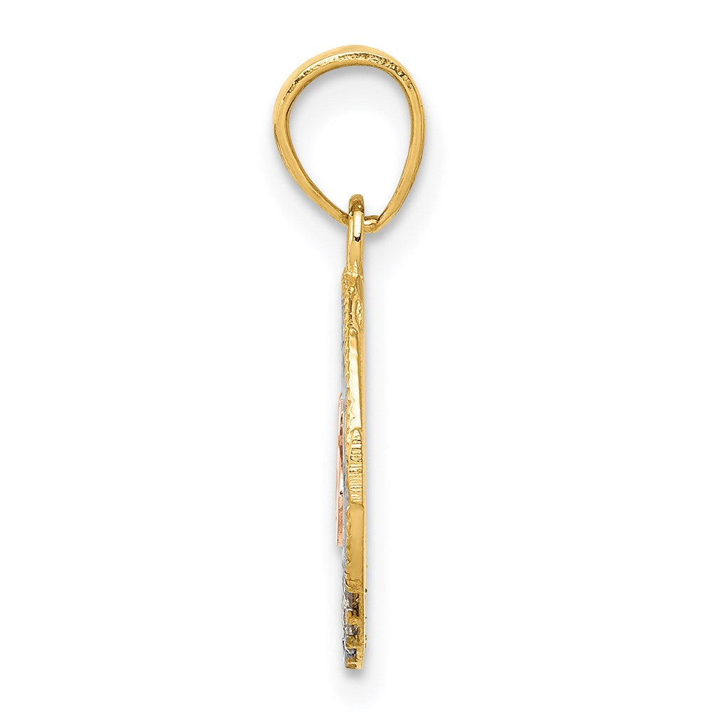 14k Two-tone with White Rhodium CZ Circle Pendant