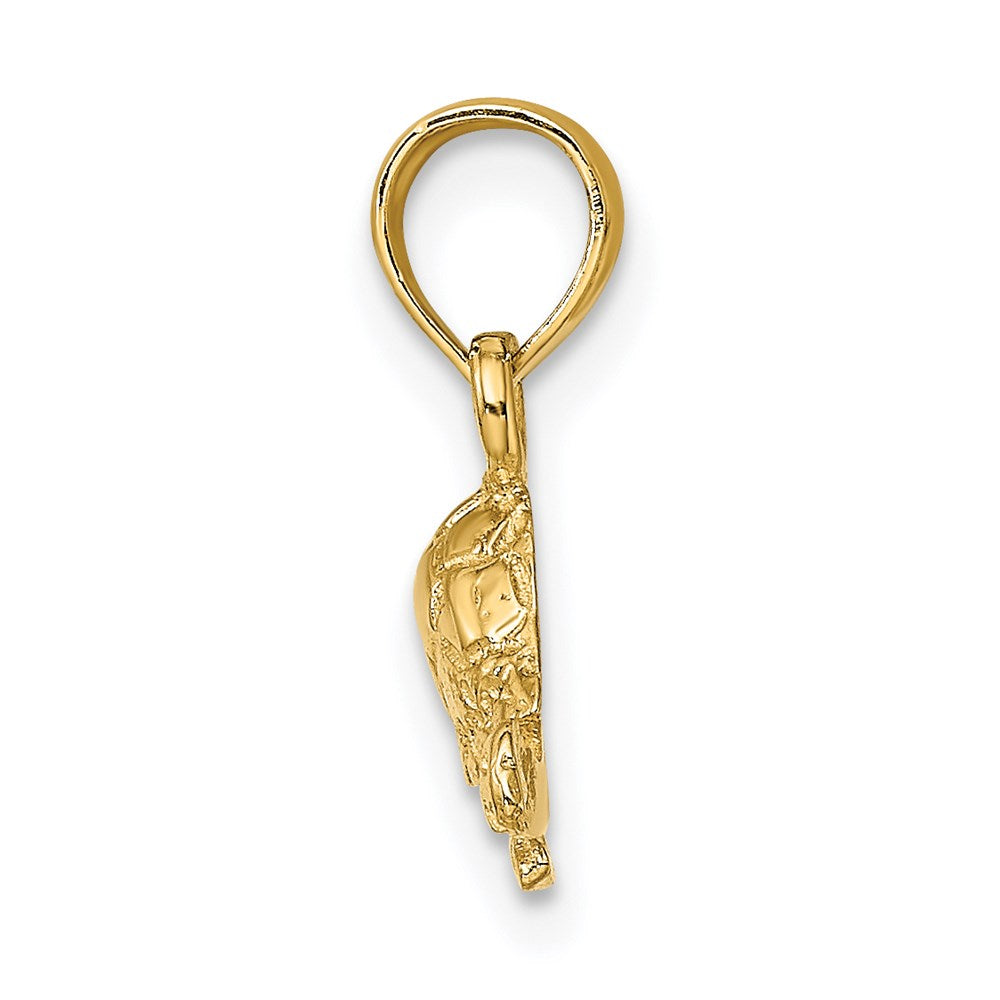 14K Polished and Textured Mini Turtle Charm