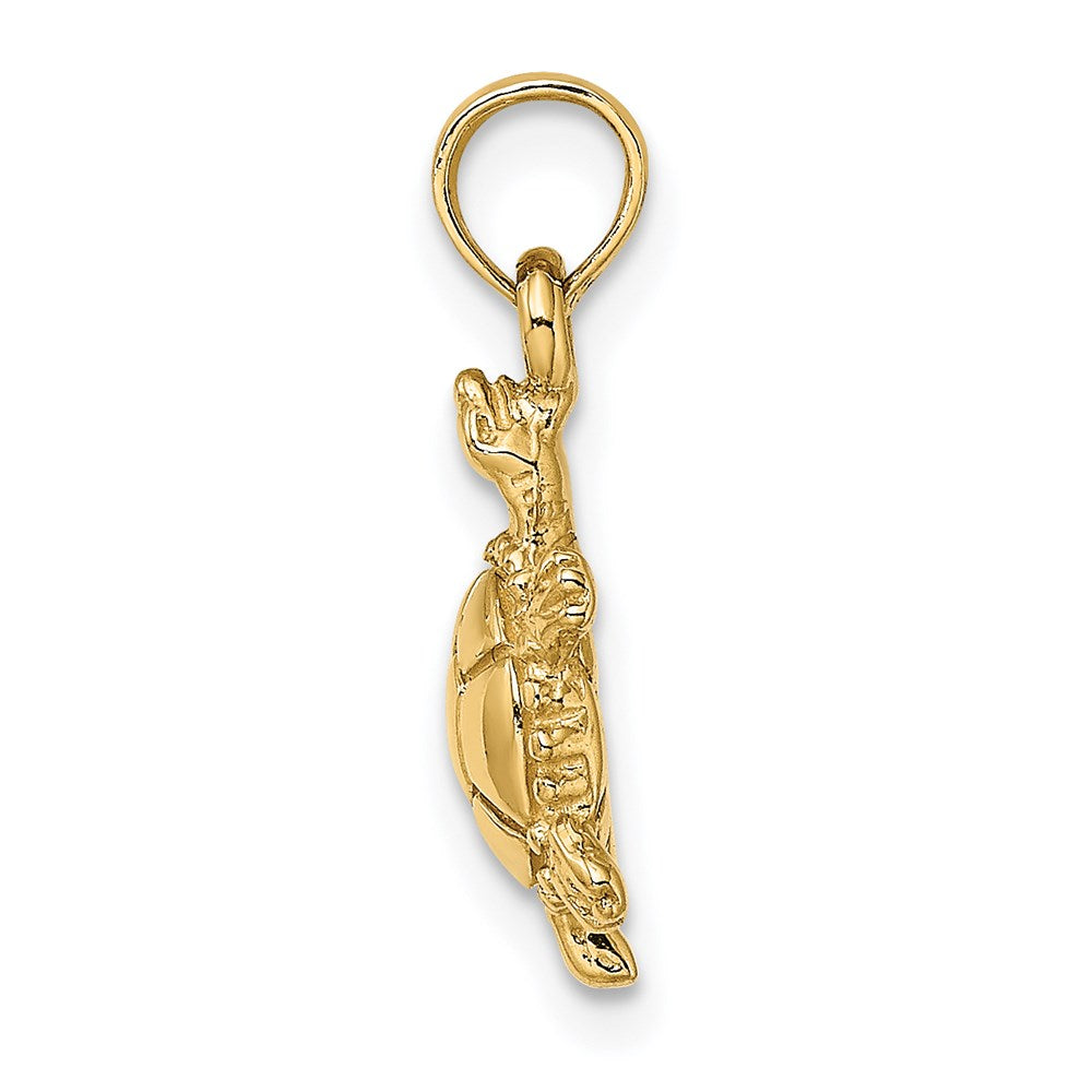 14K 3-D Polished Land Turtle Charm