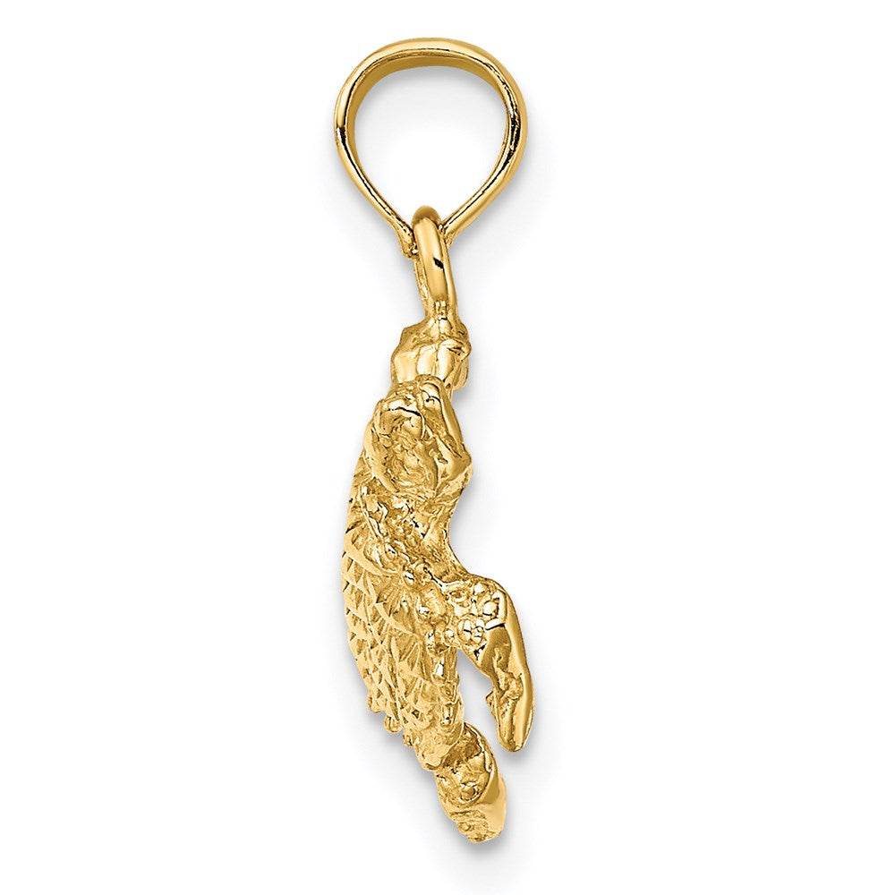 14k Sea Turtle with Tail Necklace