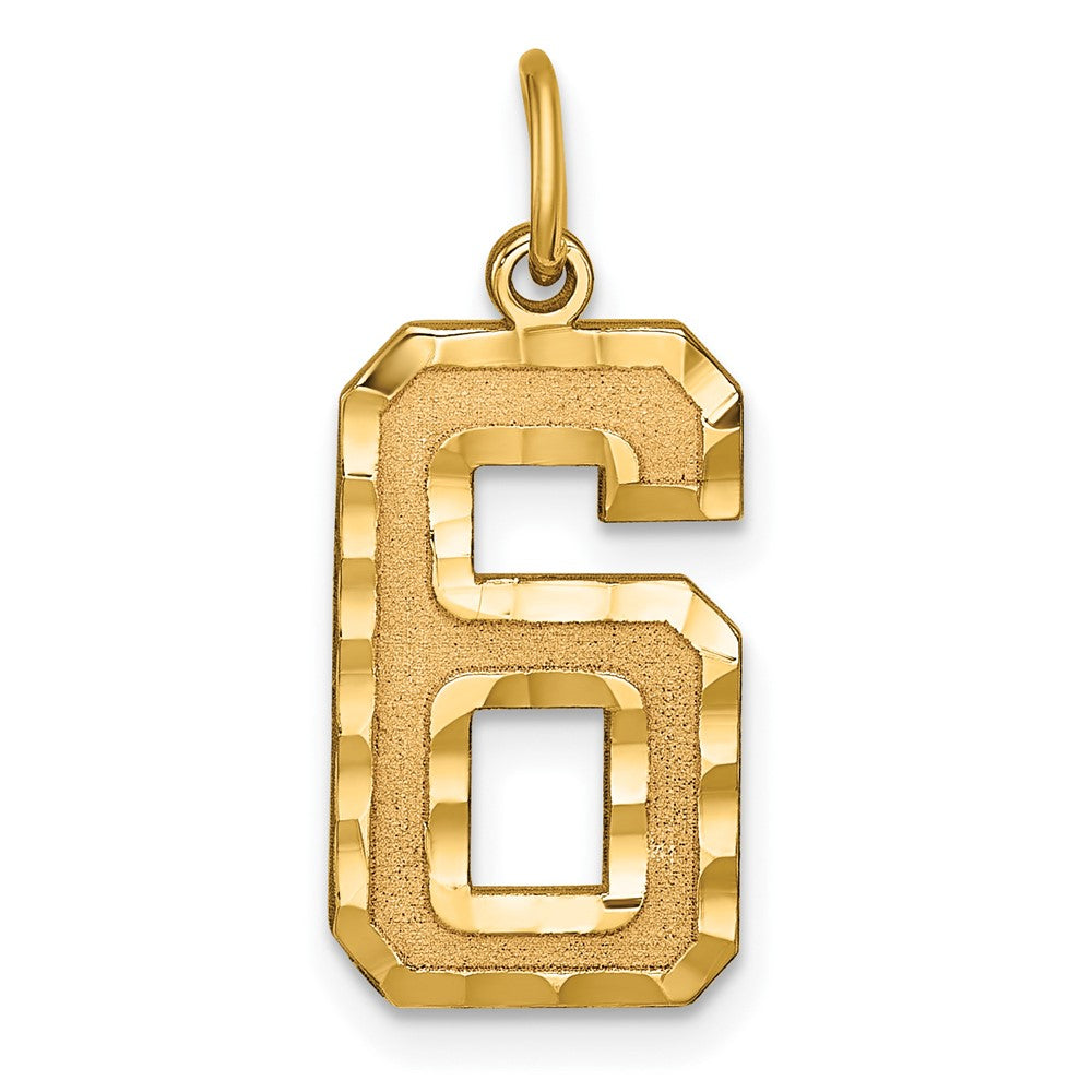 14k Large Brushed Diamond-cut Number 6 Charm