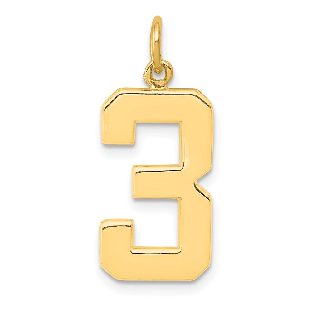 14k Large Polished Number 3 Charm