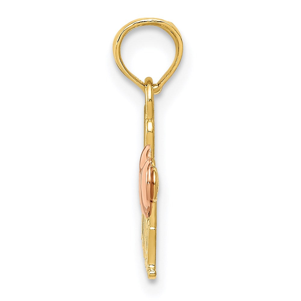 14k Two-Tone WE HEART NANA Charm