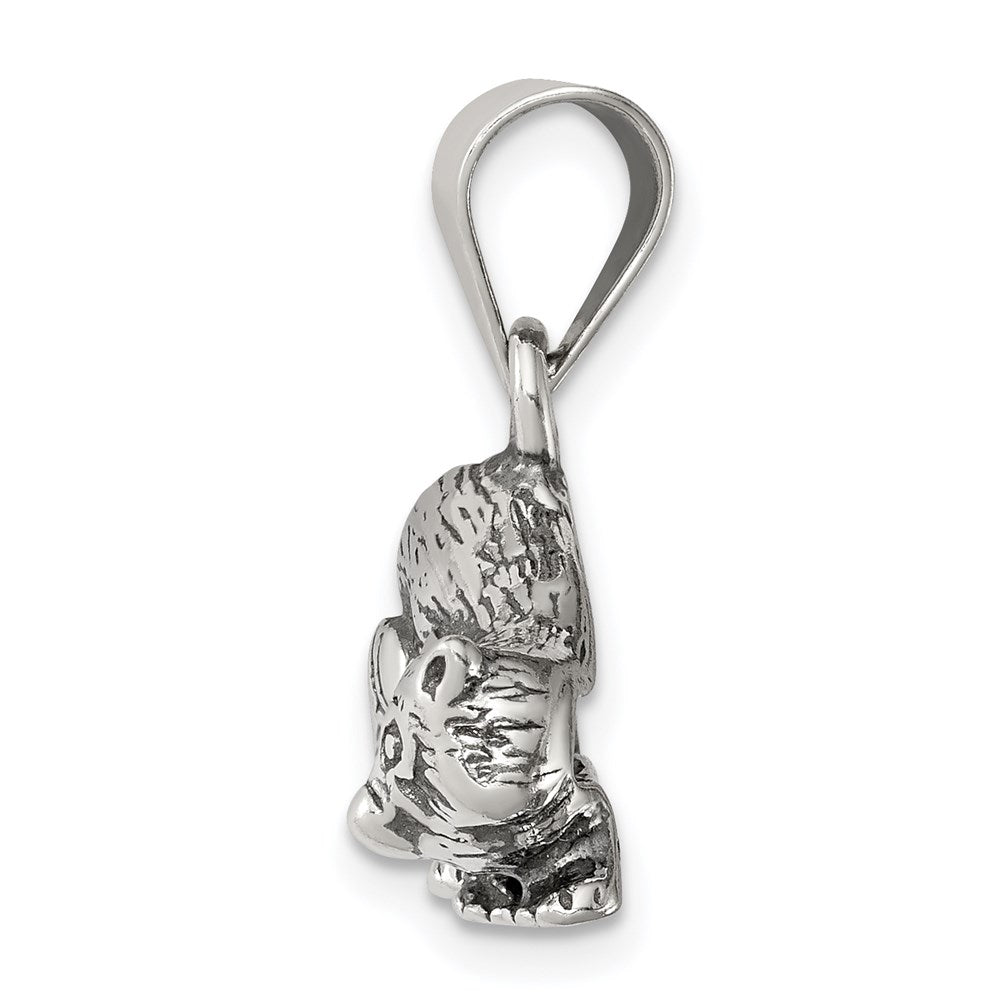 Sterling Silver Antiqued Raccoon Charm