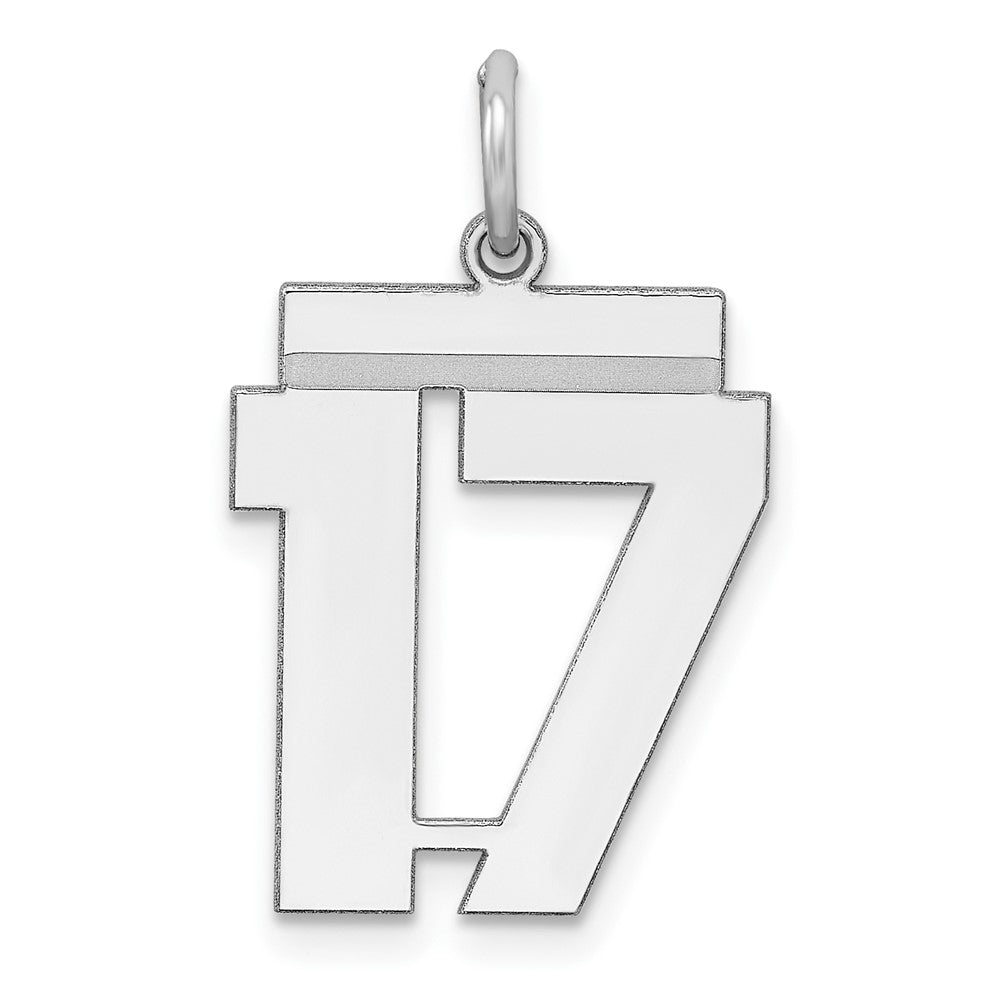 Sterling Silver/Rhodium-plated Polished Number 17 Charm