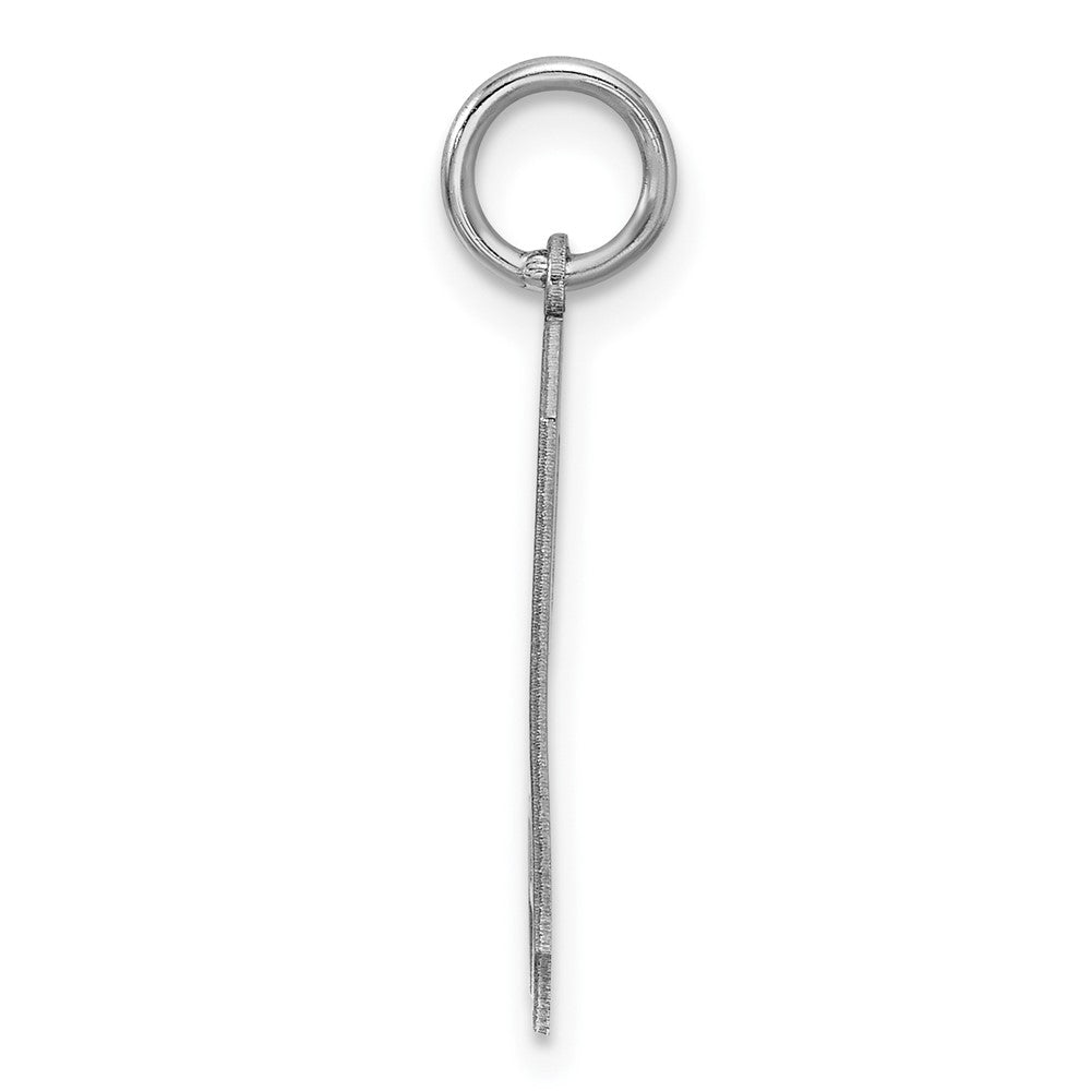 Sterling Silver/Rhodium-plated Satin Number 9 Charm