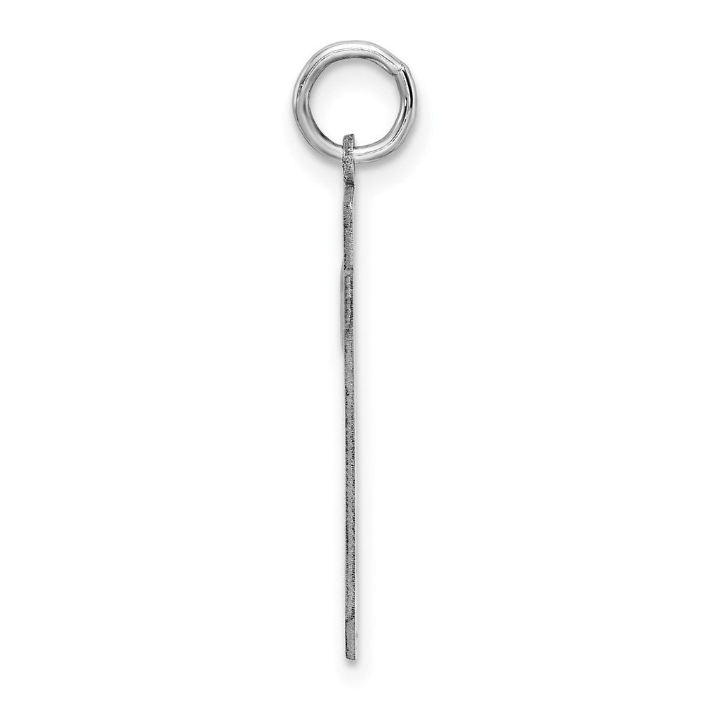 Sterling Silver/Rhodium-plated Satin Number 29 Charm