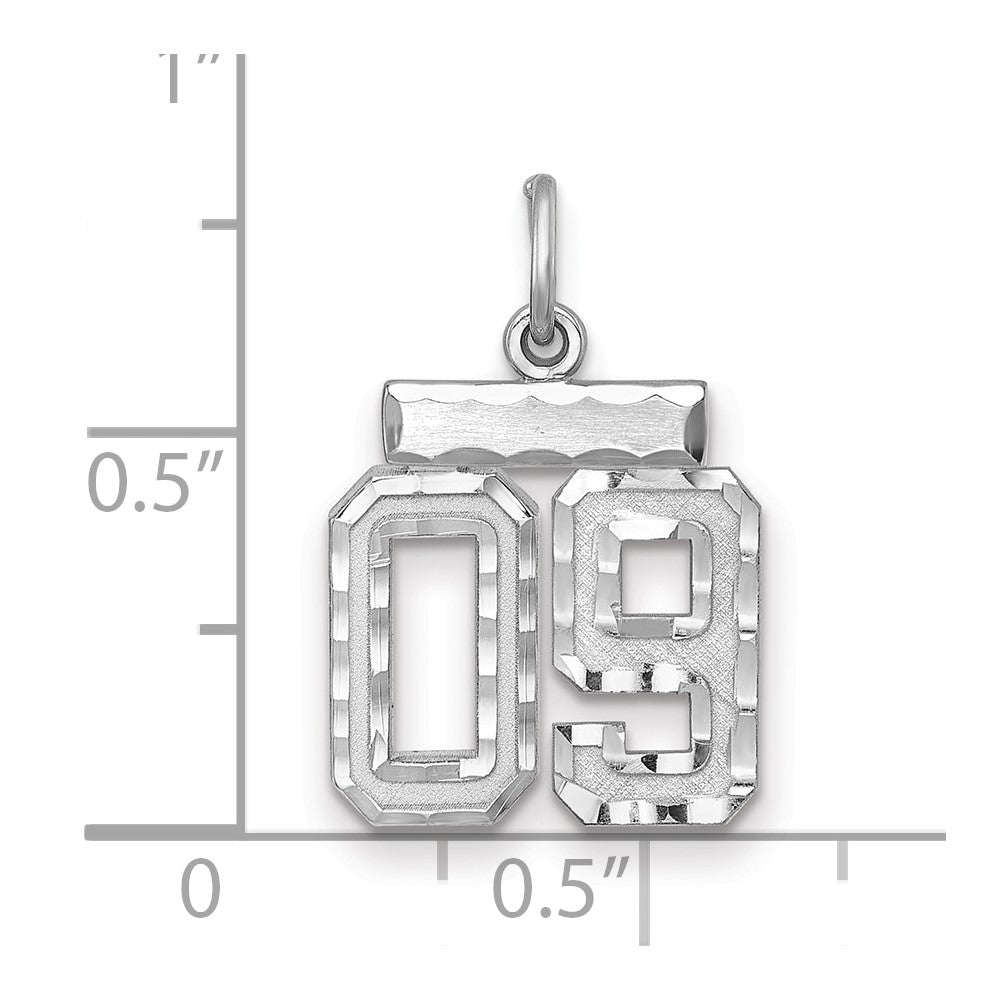 Sterling Silver Rhodium-plated Small Diamond-cut #09 Charm