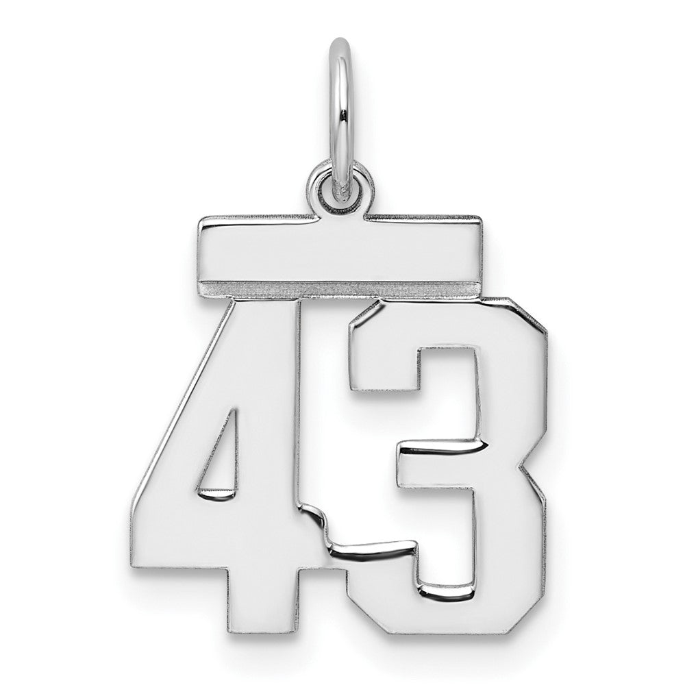 Sterling Silver/Rhodium-plated Polished Number 43 Charm